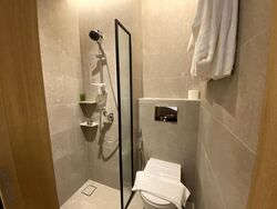 Mount Elizabeth Link (D9), Condominium #497013671